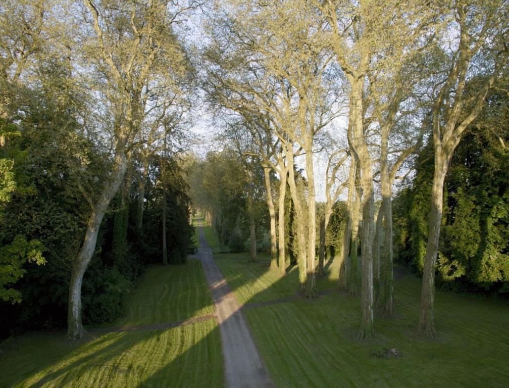 Chateau De Villars Villeneuve-sur-Allier Kültér fotó