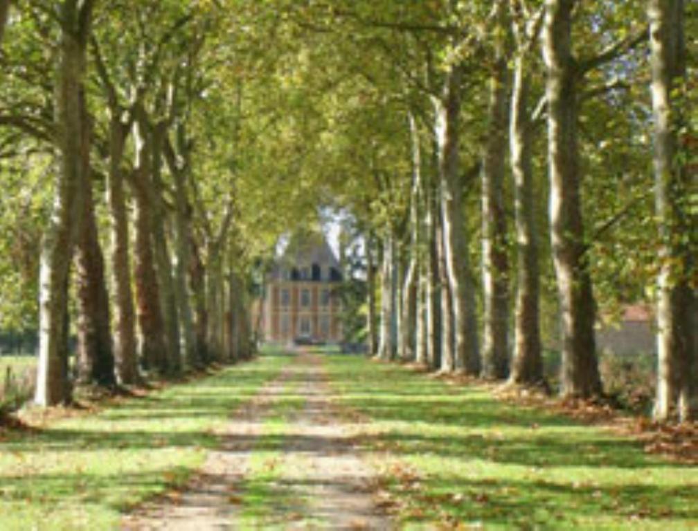 Chateau De Villars Villeneuve-sur-Allier Kültér fotó