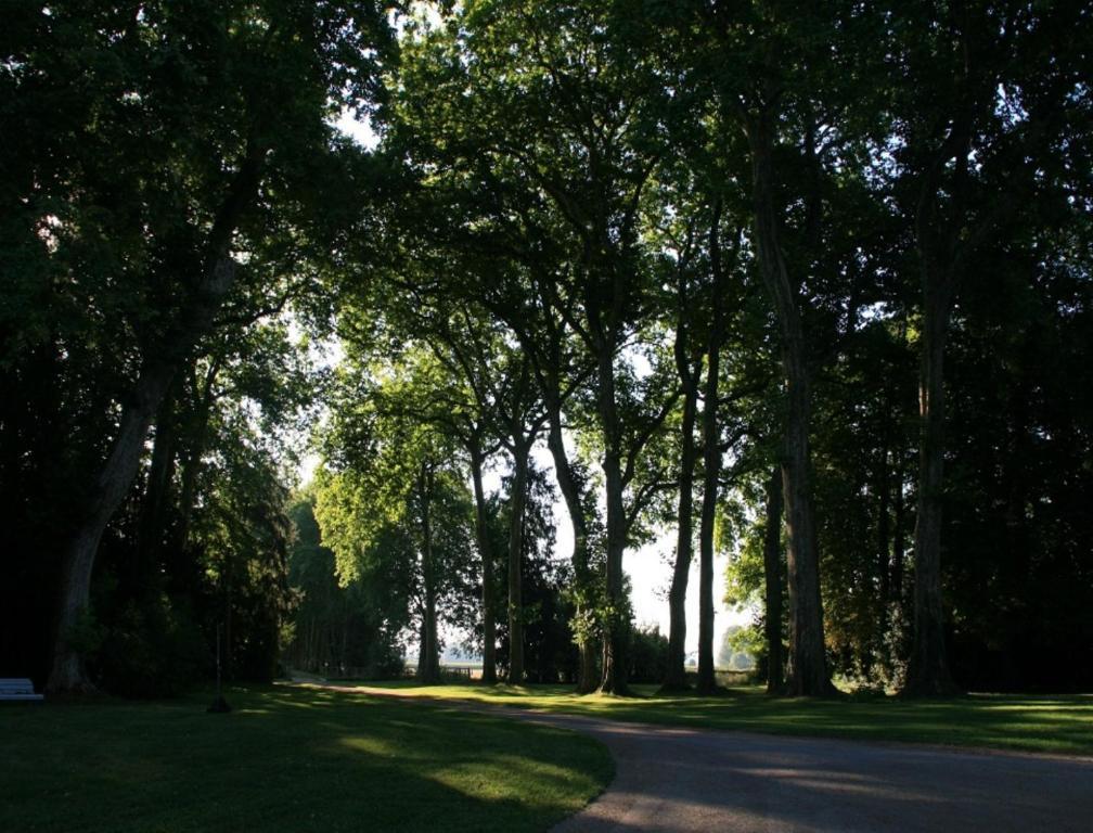 Chateau De Villars Villeneuve-sur-Allier Kültér fotó