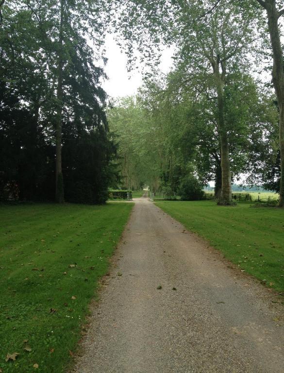 Chateau De Villars Villeneuve-sur-Allier Kültér fotó